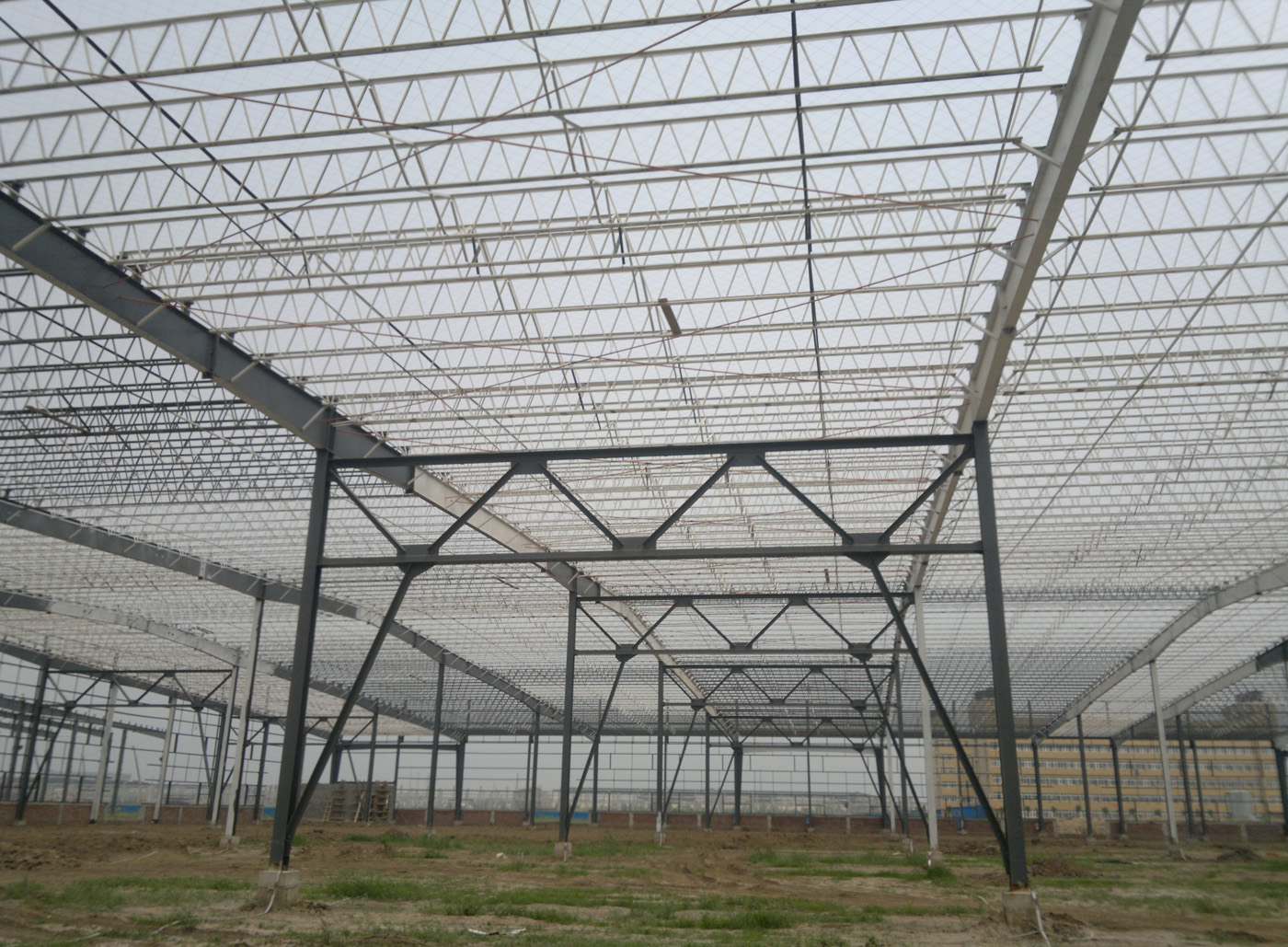 Aima Techology Corporation Limited